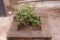 Construcció de jardí
